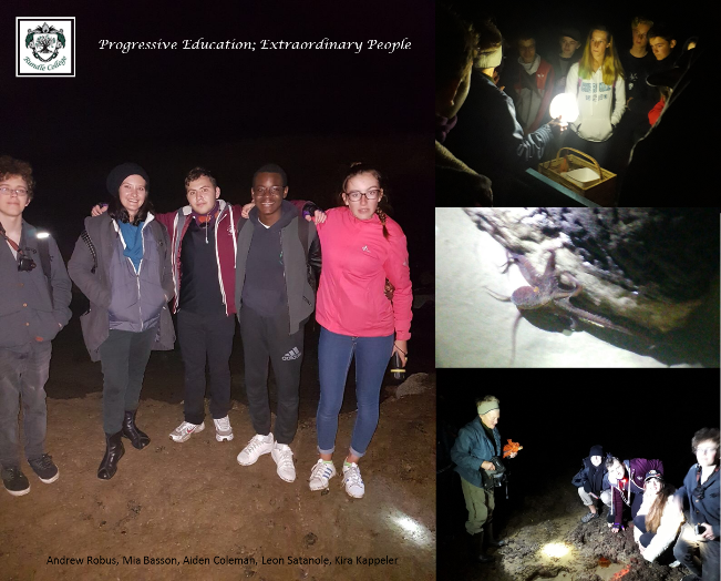 KeNako Academy, Fascinating Life in The Intertidal Zones Explored.
