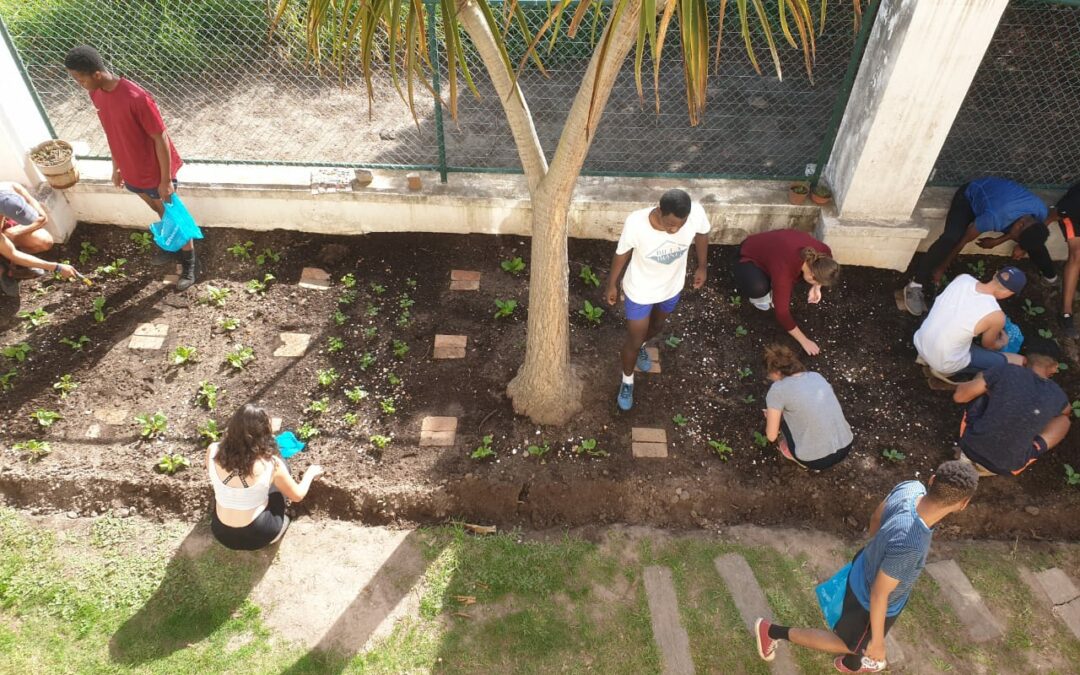 Weed Control