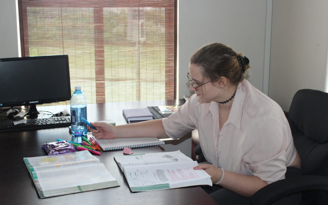 Online Learning Continues